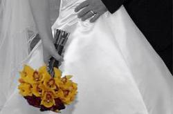 灵书妙探第六季MP4格式