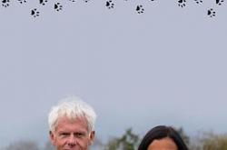 地平线系列：猫咪观察MP4格式