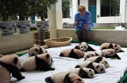 荒野救援MP4格式