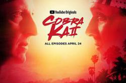 眼镜蛇第二季MP4格式