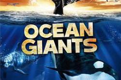 海洋巨兽MP4格式