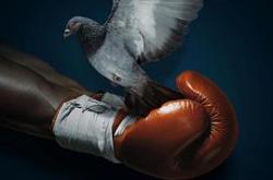 泰森传奇MP4格式