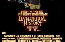 奇妙的历史MP4格式