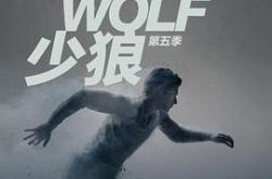 少狼第五季MP4格式