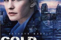 铁证悬案第二季MP4格式