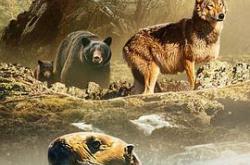 海狼之岛MP4格式