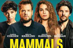 哺乳动物第一季MP4格式