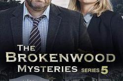 断林镇谜案第五季MP4格式