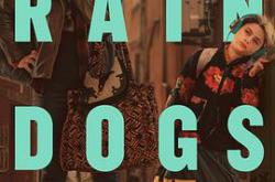 雨中浪子MP4格式