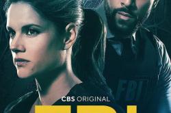 联邦调查局第五季MP4格式