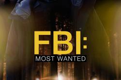 联邦调查局：通缉要犯第四季MP4格式