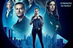 芝加哥警署第十季MP4格式