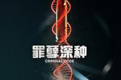 罪孽深种MP4格式