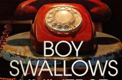 吞下宇宙的男孩MP4格式