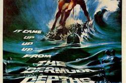 深海巨灵大海龟MP4格式