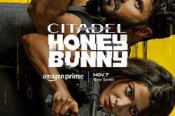 堡垒：印度篇MP4格式