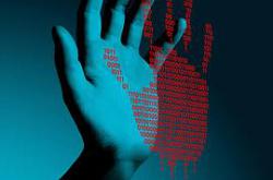 康考迪亚MP4格式