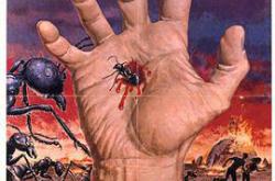 第四阶段1974MP4格式