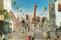 紧急呼救 第五季MP4格式