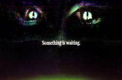 拦截火狐狸MP4格式