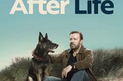 后半生第一季MP4格式