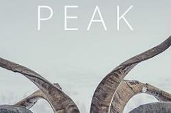 异教峰第一季MP4格式