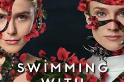 与鲨同游MP4格式