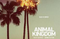 野兽家族第一季MP4格式