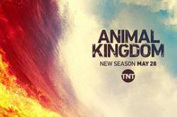 野兽家族第四季MP4格式