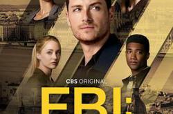 联邦调查局：国际第四季MP4格式