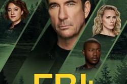 联邦调查局：通缉要犯第六季MP4格式