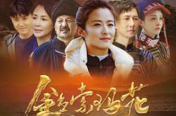 金色索玛花MP4格式