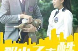 那小子真酷MP4格式