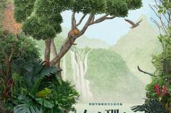 女心理师MP4格式