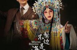 鬓边不是海棠红MP4格式