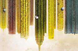 石头开花MP4格式