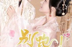 别跑太子妃MP4格式