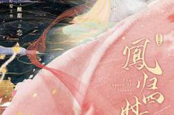 凤归四时歌MP4格式