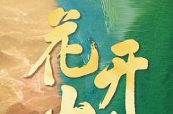 花开山乡MP4格式