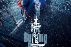 迷雾追踪MP4格式