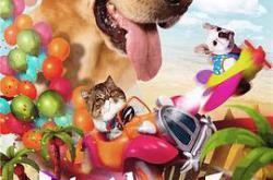 神犬小七第二季MP4格式