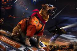 神犬小七第三季MP4格式