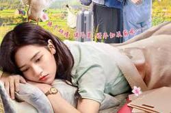 何加加的桃花源记MP4格式