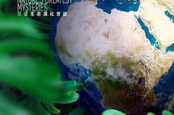 秘境星球MP4格式