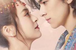 族长的赘婿MP4格式