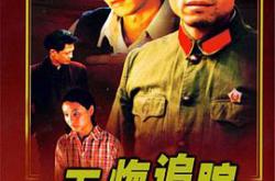 无悔追踪王志文版MP4格式