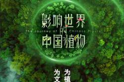 影响世界的中国植物MP4格式