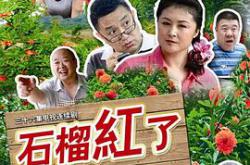 火红的日子MP4格式