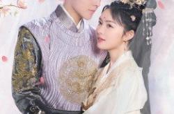 神探驸马请接嫁MP4格式