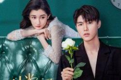 时光不及你温柔MP4格式